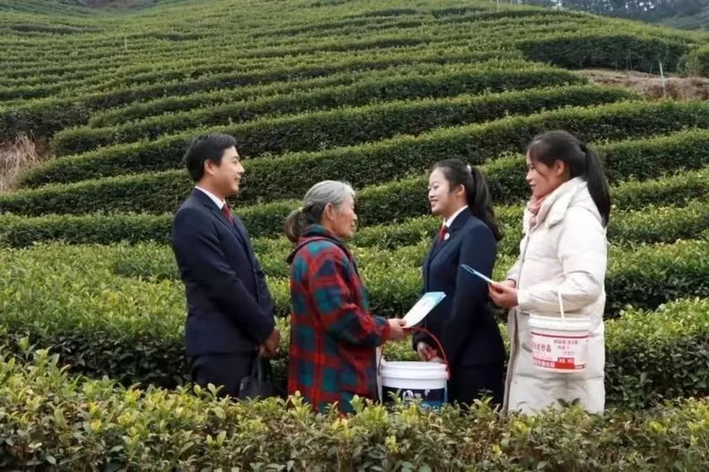 微信图片_20250321091946.jpg