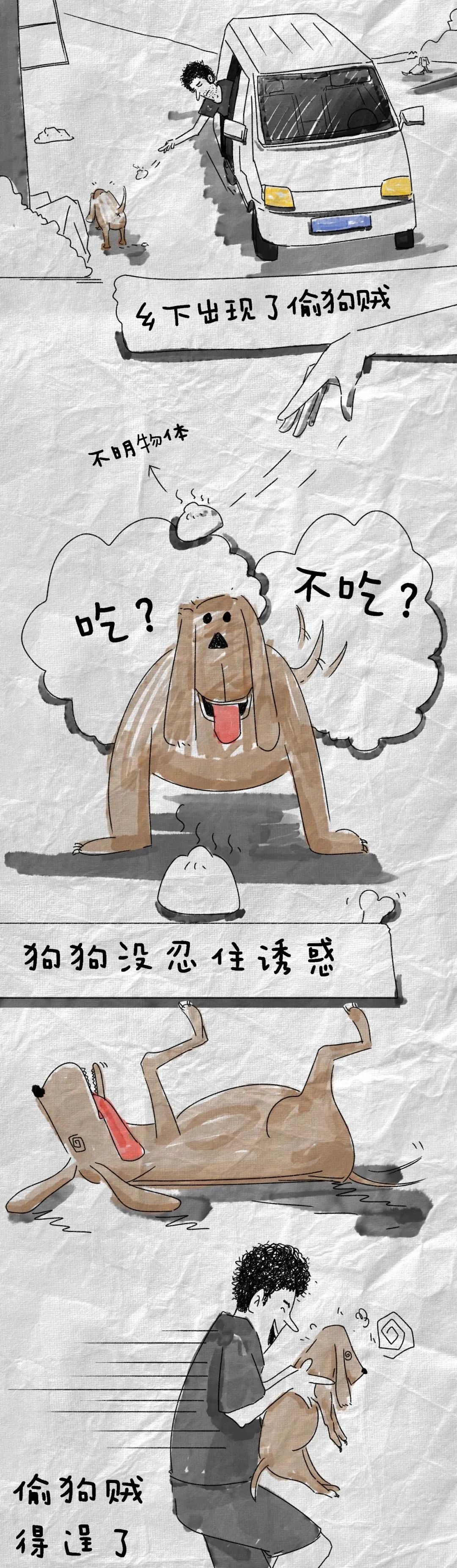 微信图片_20240520163235.jpg